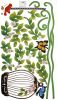 Sping Comes - Hemu Wall Decals Stickers Appliques Home Decor 12.6 BY 23.6 Inches